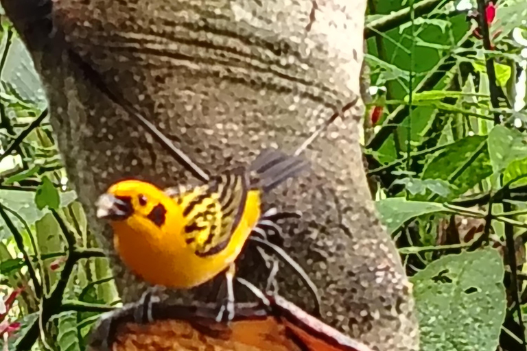 Quito: Waterfall, Hummingbirds, Butterfly Tour, Equator line