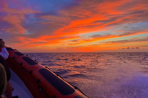 Alcudia: Obserwowanie delfinów o wschodzie słońca z łodzi motorowej