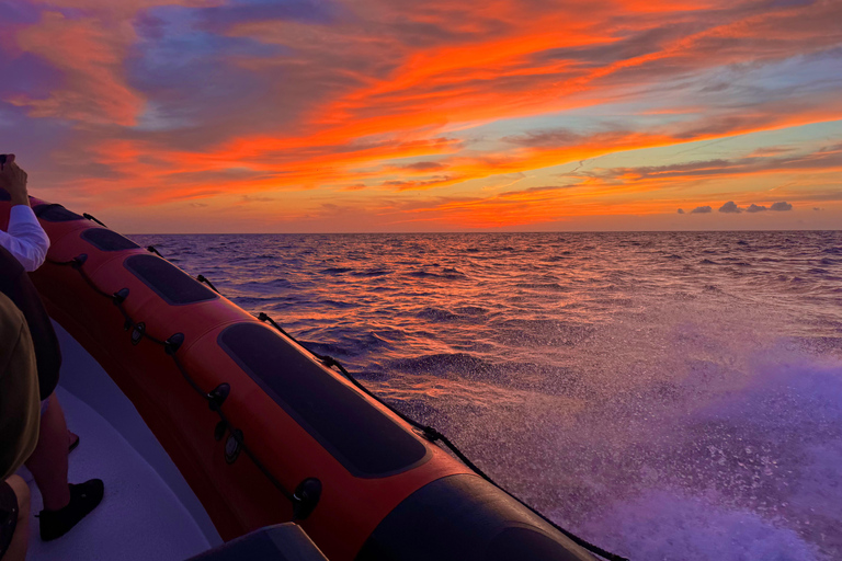 Alcudia: Obserwowanie delfinów o wschodzie słońca z łodzi motorowej