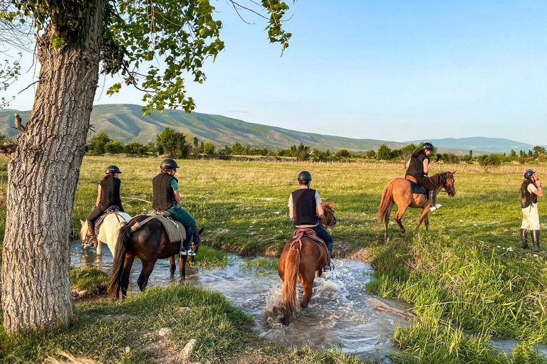 Tbilisi: Horse Riding Tour at Palomino Ranch