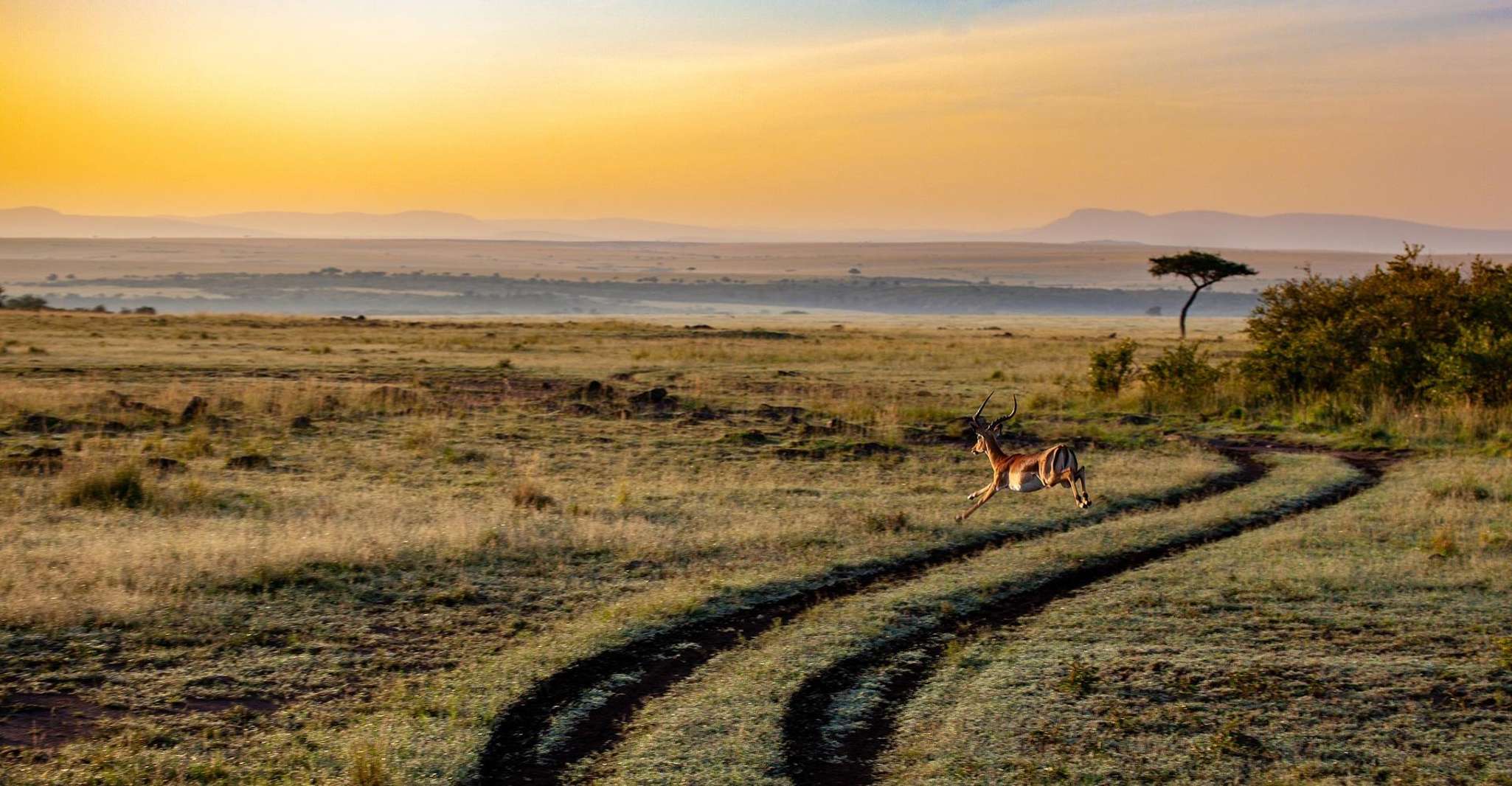 La Perla de África - su aventura de safari de 8 días/7 noches - Hizvo
