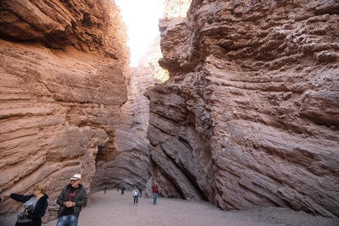 Cafayate: Tour de dia completo por bodegas y degustacion de vinos