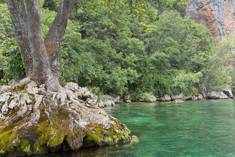 Kayaking Lake Ohrid with BBQ, from Ohrid.
