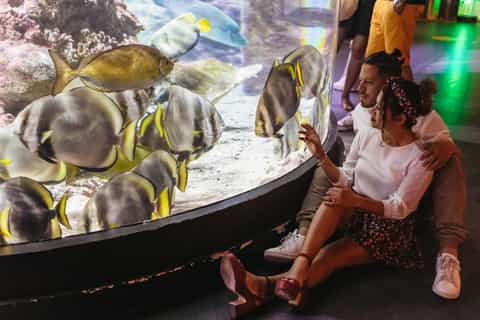 Aquarium of Genoa: Timeslot Ticket
