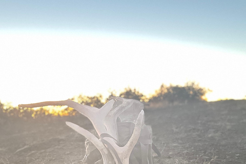 Sedona: Guided Outdoor Adventure with Optional Yoga