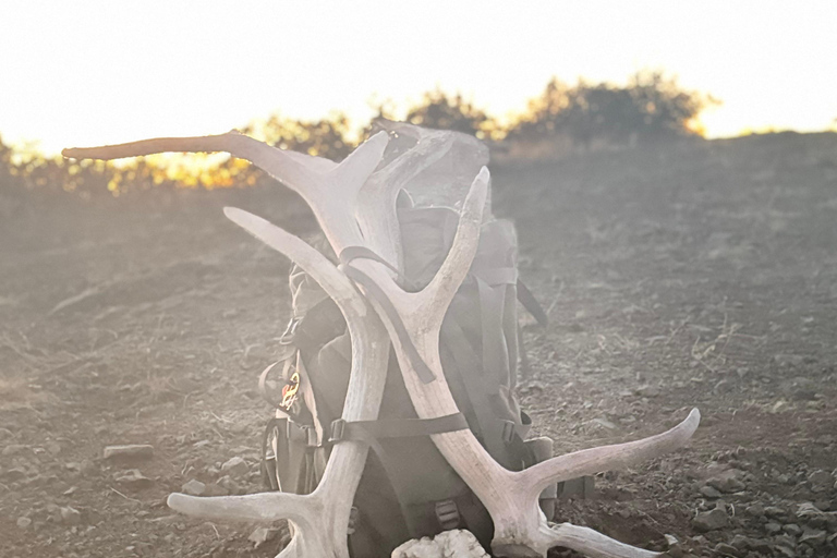 Sedona: Guided Outdoor Adventure with Optional Yoga