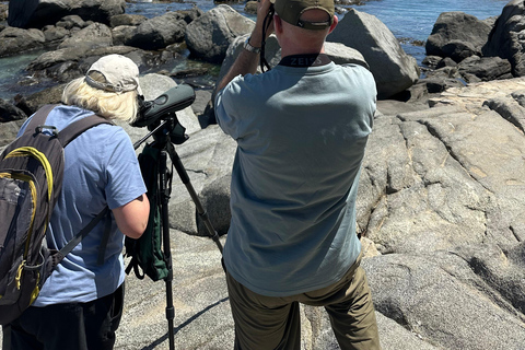 From Valparaiso: Private Mantagua Wetlands & Penguins Tour