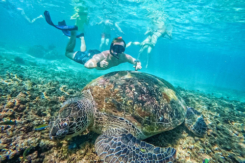 Ko Tao: Vintage Boat-Small Group Snorkeling Day Trip w/Meals