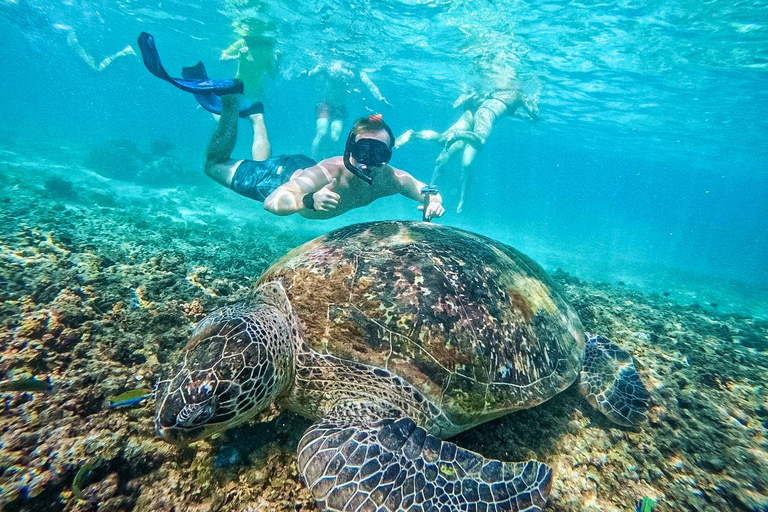 Ko Tao: Vintage Boat-Small Group Snorkeling Day Trip w/Meals