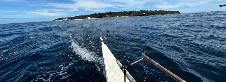 L'île de Pamilacan : Dauphins, plongée en apnée, déjeuner et visite à pied