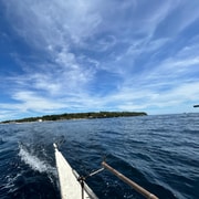 Pamilacan Island: Dolphins, Snorkeling, lunch and walking tour Pamilacan Island: Dolphins, Snorkeling, lunch and walking tour