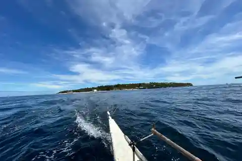Pamilacan island: Dolphins, snorkel, lunch and walking tour