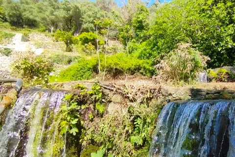 From Chania: Lake Kournas & Argiroupoli Springs Guided Tour