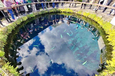 Tokyo : Excursion d'une journée à la 5e station du Mont Fuji, dans la région du Fuji et à Kawaguchiko8:20 Rendez-vous au bureau de poste de Shinjuku