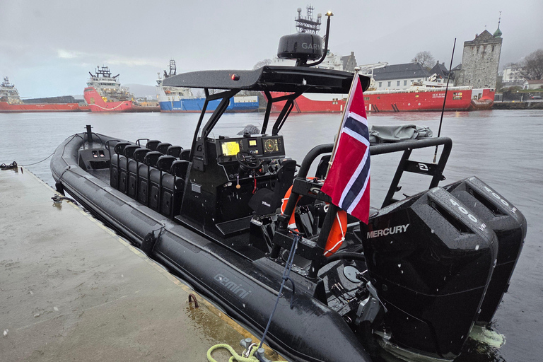 卑尔根：乘坐高级 RIB 船探索莫斯特罗门峡湾卑尔根：乘坐高级 RIB 船游览莫斯特罗门峡湾