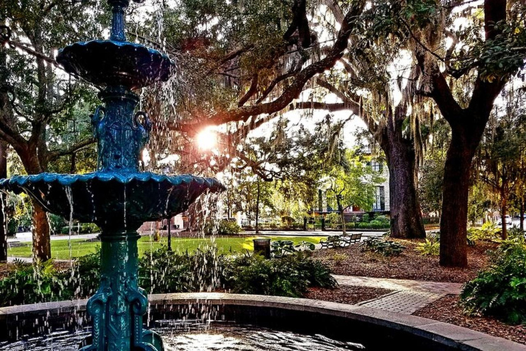 Savannah: Andrew Low House Entry Ticket