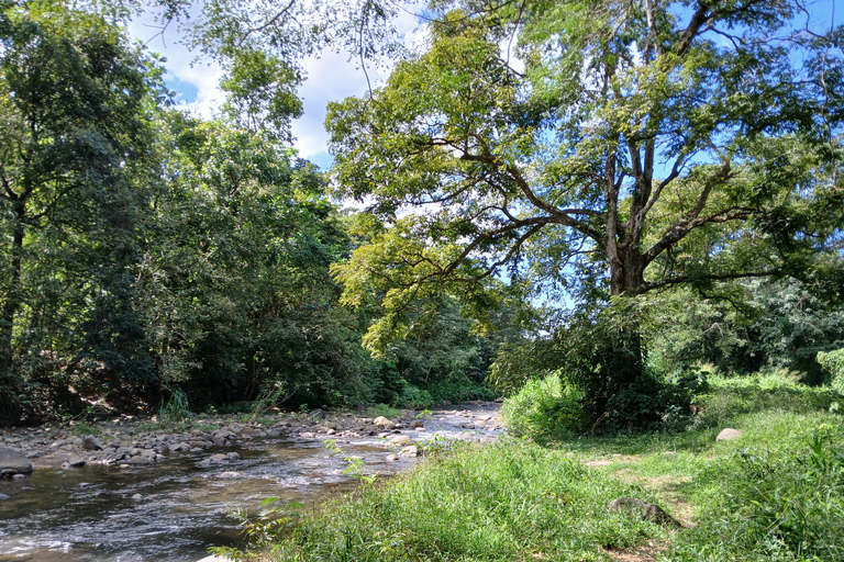 Visit and swim. Rum distillery, river, beach in Le Carbet, private tour Explore the North Caribbean with your driver. Rum Distillery, River, Beach