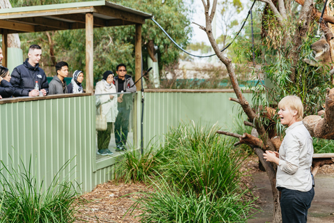 Från Melbourne: Phillip Island Eco Wildlife-turFrån Melbourne: Ekologisk utflykt till Phillip Island