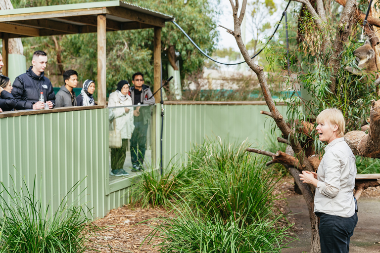 Desde Melbourne: Excursión ecológica a la fauna de Phillip IslandDesde Melbourne: ecotour de fauna a Phillip Island