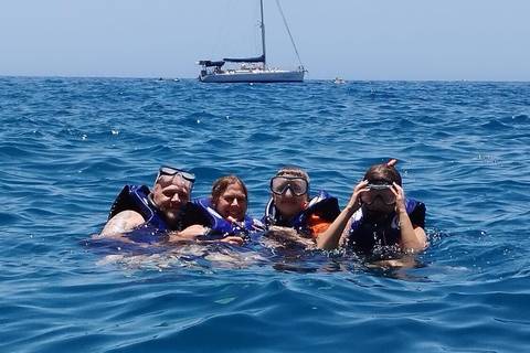 Los Cristianos:Kayak and Snorkel tour with turtles and dolphins