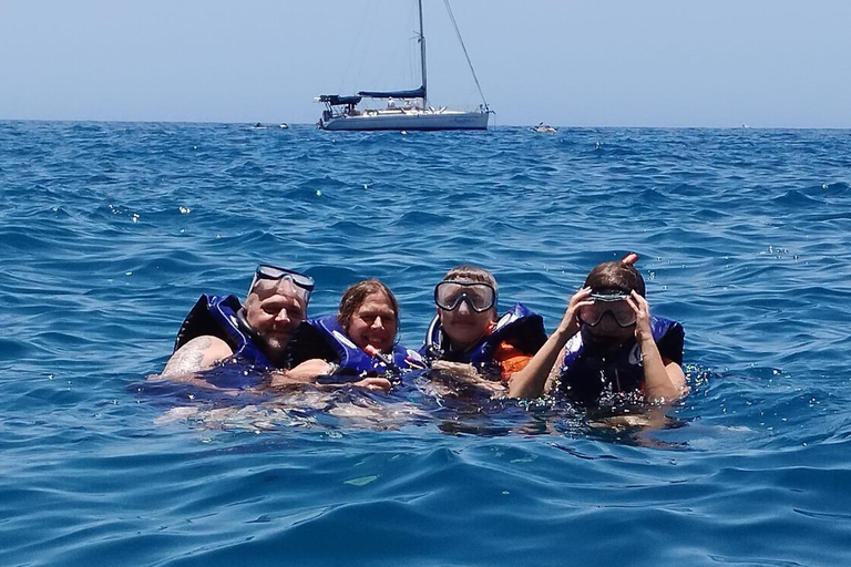 Los Cristianos: tour in kayak e snorkeling con tartarughe e delfini