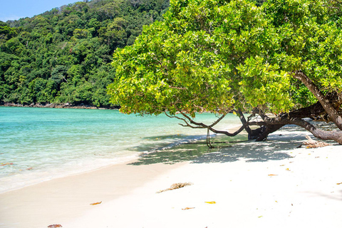 Z Phuket: wycieczka z rurką na wyspy SurinZ Phuket: wycieczka snorkelingowa na wyspy Surin