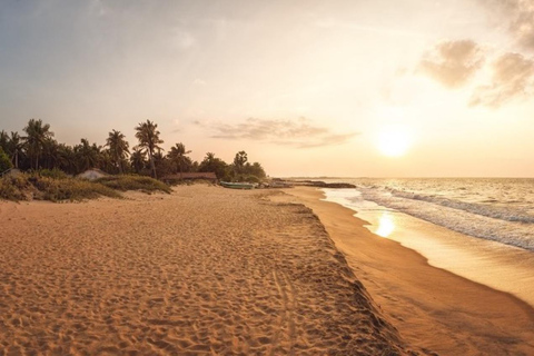From Udawalawe To Colombo or Airport Transfer with City Tour
