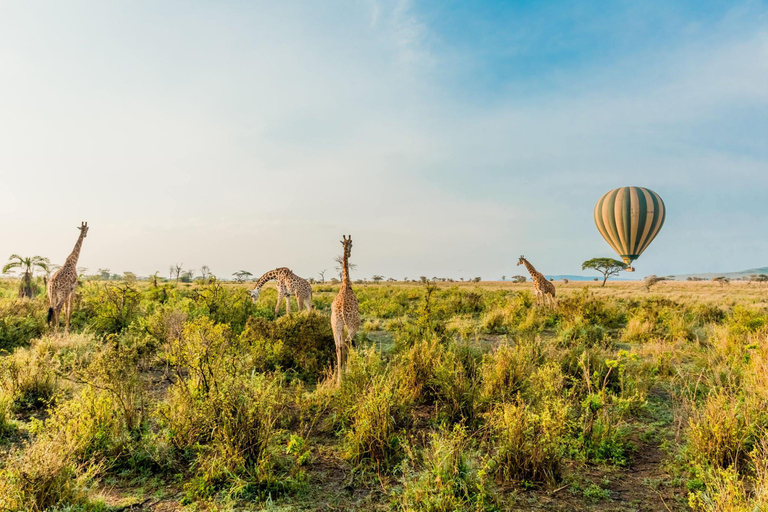 El mejor paquete de safari de 8 días por la vida salvaje de Tanzania