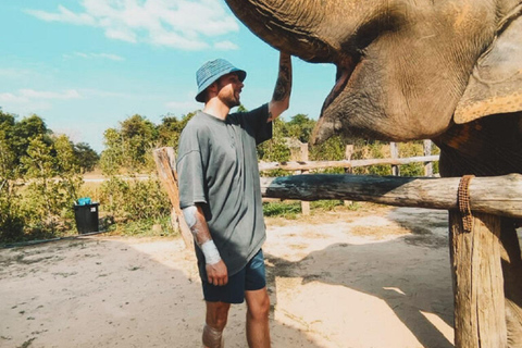 Visite du sanctuaire des éléphants et du temple de Banteay Srey au Cambodge