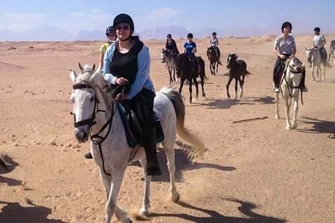 Hurghada: Sunset Sea, Desert Horse W Opt, Dinner, Stargazing Sunrise Hurghada: 4-hour Horse Ride With Swim Stop