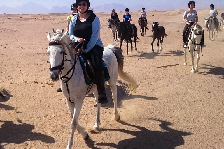 Hurghada: Sunset Sea, Desert Horse W Opt, Dinner, Stargazing Sunrise Hurghada: 4-hour Horse Ride With Swim Stop