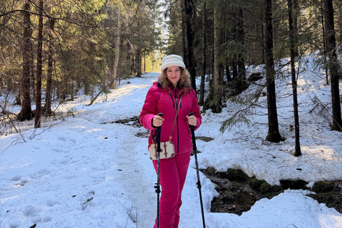 Oslo’s Most Beautiful Fjord Views - light hike version
