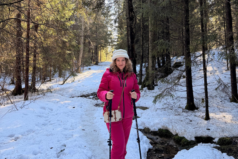 Oslo’s Most Beautiful Fjord Views - light hike version