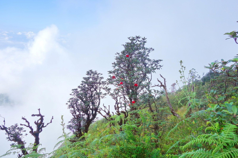 Park Narodowy Doi Inthanon i szlak turystyczny Kew Mae Pan Nature Trail