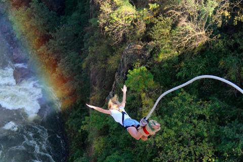 Victoria Falls: Bungee Jump with Photos, Video
