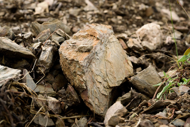 Führung durch die Domaine de Haute PercheGeführte Besichtigung der Domaine de Haute Perche