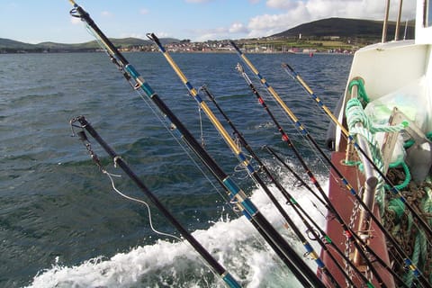Deep-Sea Fishing Trip in Dingle Bay! - Image 2