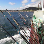 Deep-Sea Fishing Trip in Dingle Bay!