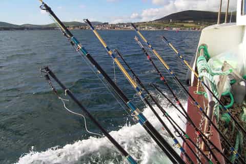 Deep-Sea Fishing Trip in Dingle Bay! - Image 3
