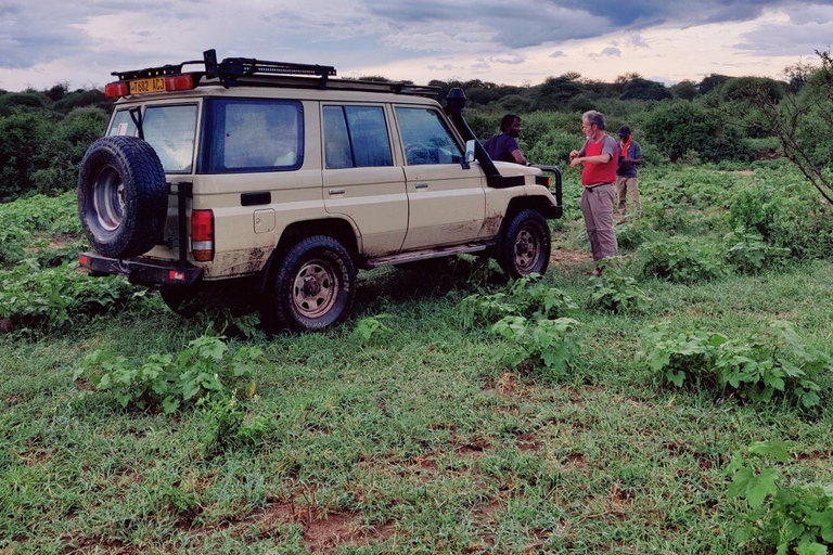 2-Days Lake manyara and Tarangire National Parks