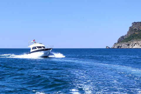 Sesimbra: Exclusive Private Yacht tour with sea activities! Sesimbra: Exclusive Private Yacht Experience and activities,