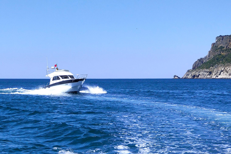 Sesimbra: Exclusive Private Yacht tour with sea activities! Sesimbra: Exclusive Private Yacht Experience and activities,
