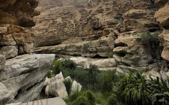 Wadi Shab &Bimmah Sinkhole &Herzförmige Höhle &Pebble Beach