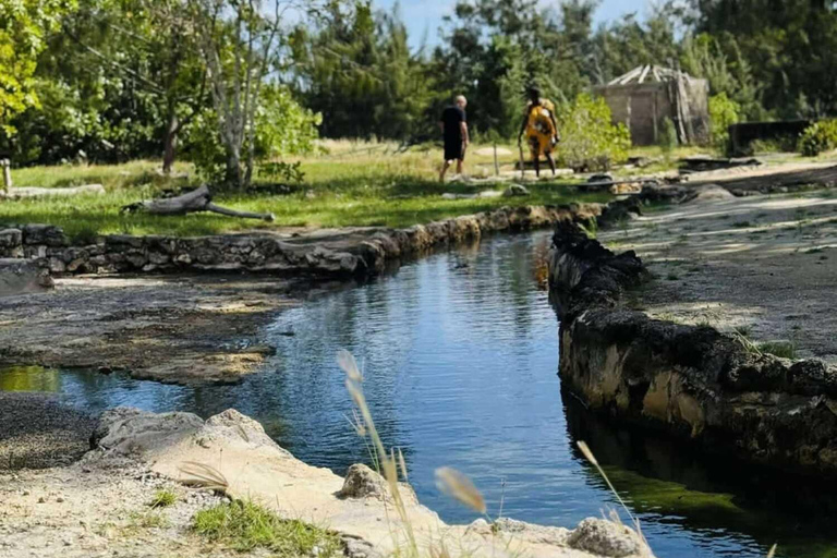 Vanuatu: Island Tour with Snorkelling, Hot Springs & Kayak