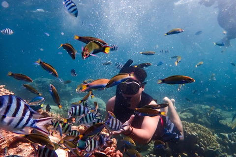 Hurghada: Dive Experience for Beginners or Certified Divers Full-Day Scuba Diving for Certified Divers