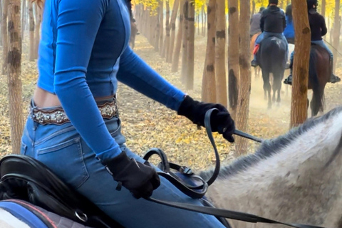 Beijing: 2-Day Horseback Riding Camp with Meals & Stay