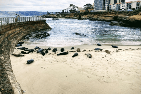 Cali Dreaming Electric Bike Tour of La Jolla & Pacific Beach