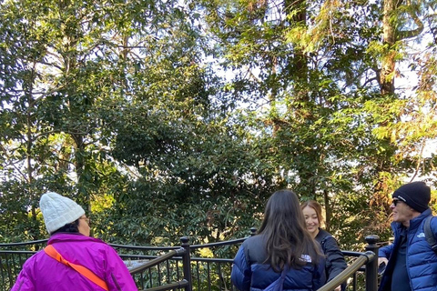 E-Bike Tour in Kyoto with Asuka, Japanese graduate student