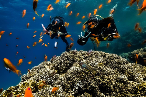 Von Sharm El-Sheikh aus: Ras Mohamed Stingray Station Bootsfahrt