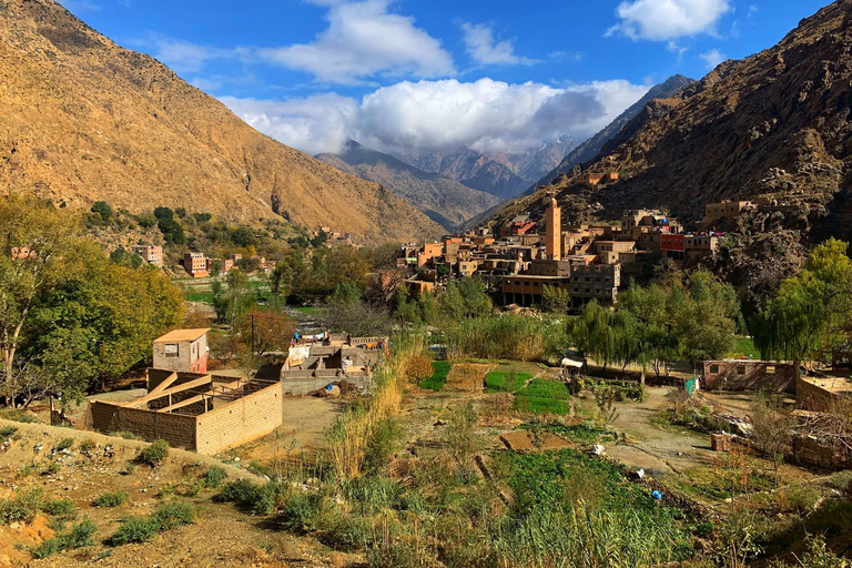 Marrakech:Montagne dell&#039;Atlante, Cascata di Ourika con guida+pranzoTour di gruppo